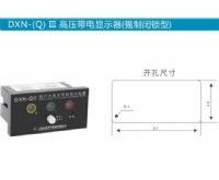 DXN-Q3高压带电显示器（闭锁型）