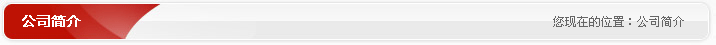 公司简介